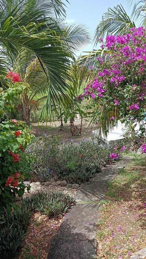 T2 Jardin Clos Les Nids De La Colline Saint-Francois  Apartment Saint-Francois (Grande-Terre)